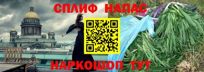 трава Кингисепп