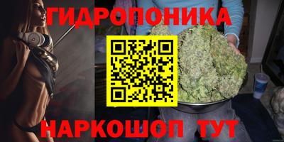 трава Кингисепп