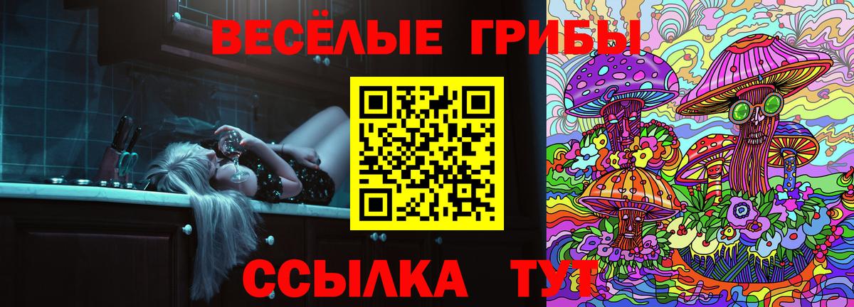закладки  Вход с VPN  Качканар  Псилоцибиновые грибы мицелий 