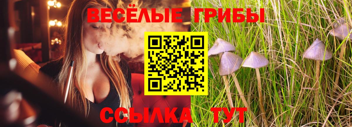 Галлюциногенные грибы прущие грибы Качканар